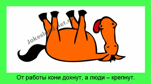 От работы кони