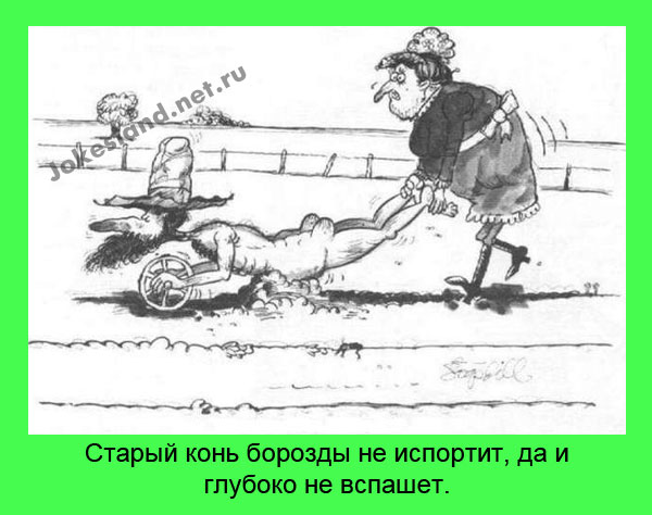 Старый конь
