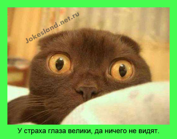 У страха глаза велики