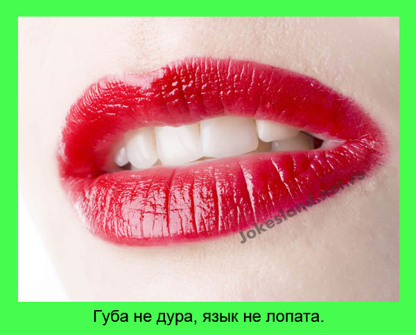 Губа не дура