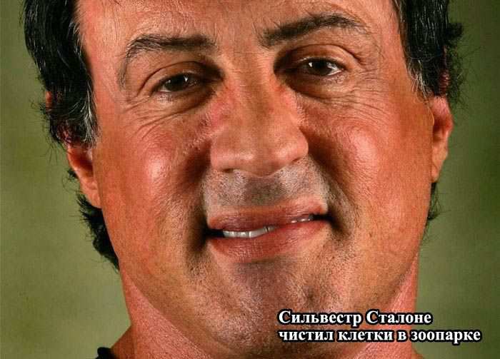    ,     (8 )