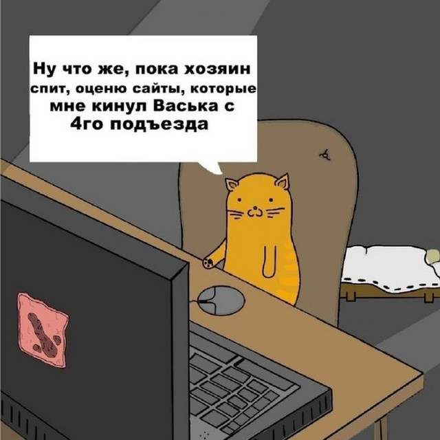     (8 )