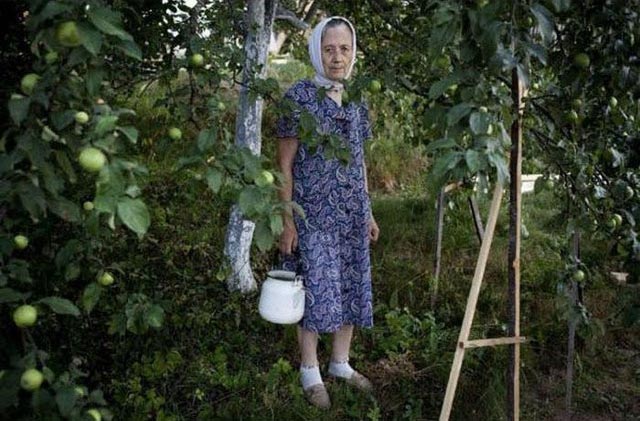 есть собственный сад и огород