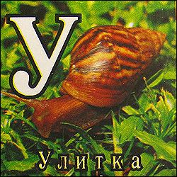 Китайские кубики