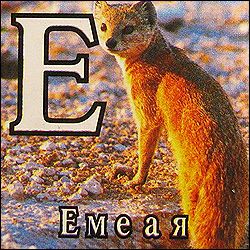 Китайские кубики
