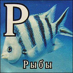 Китайские кубики