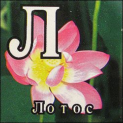 Китайские кубики