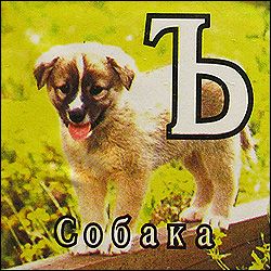 Китайские кубики