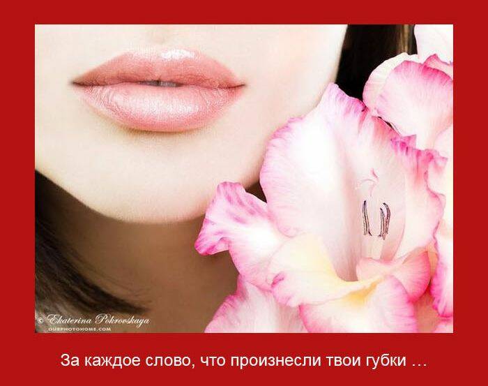 каждое слово, что произнесли твои губки